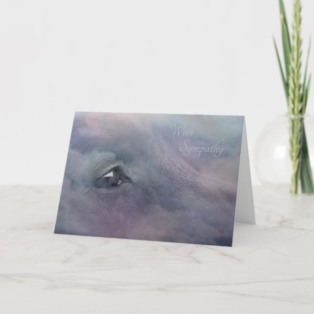 Sympathy card dog (Front)