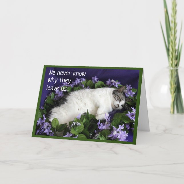 Sympathy Card for Cat (Front)