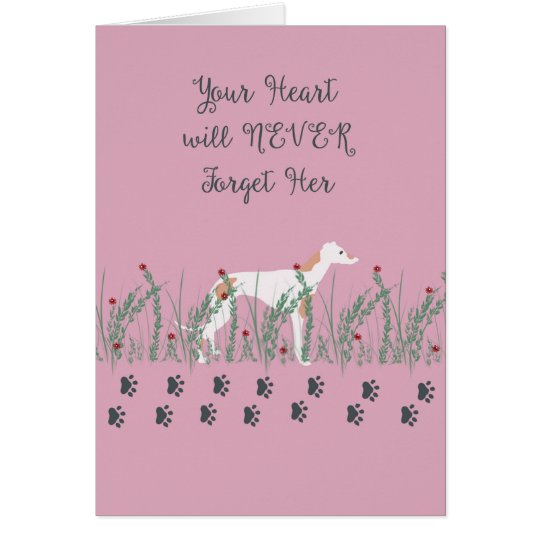 Sympathy Card for Loss of Female Greyhound