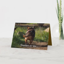 Sympathy card - pet