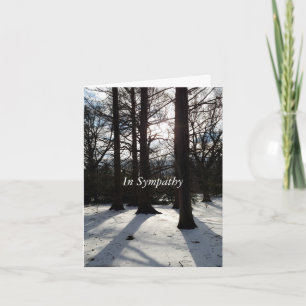 Sympathy Card winter trees in sunlight and shadow
