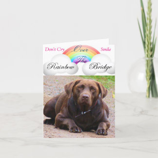 Sympathy Cards for Dog j/ labdor retrivers lovers
