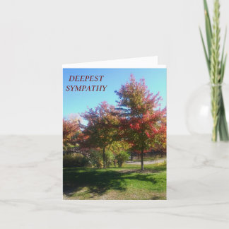 SYMPATHY CARDS, THINKING OF YOU AND YOUR FAMILY THANK YOU CARD