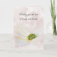Sympathy Cosmos Flower on Pink Abstract