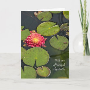 Sympathy Dahlia in lily pads Card
