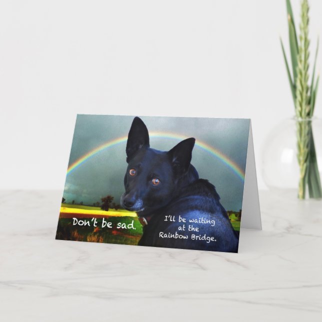 Sympathy for loss of pet card (Front)