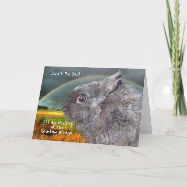 Sympathy for loss of pet rabbit card (Front)