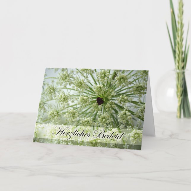 Sympathy in German, Queen Anne's Lace, Flowers Card (Front)