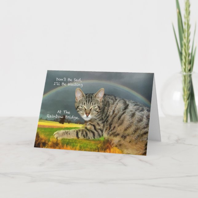 Sympathy - Loss of Pet Tabby Cat Card (Front)