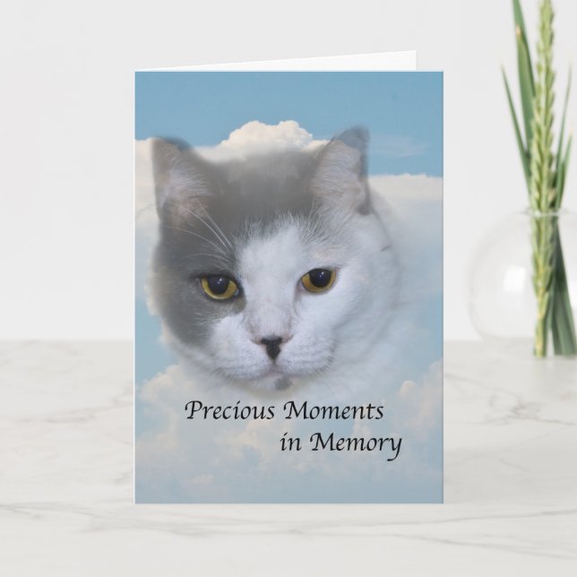 Sympathy on Death of Pet Cat Card (Front)