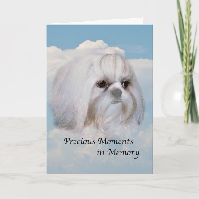 Sympathy on Death of Pet Dog Card (Front)