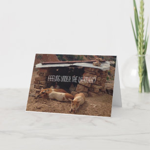 Sympathy Pig Greeting Card