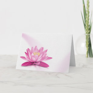 Sympathy Pink Waterlily on White Card