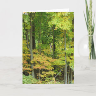 Sympathy - Quiet Forest Card