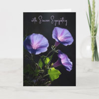 Sympathy Radiant Morning Glory Flowers