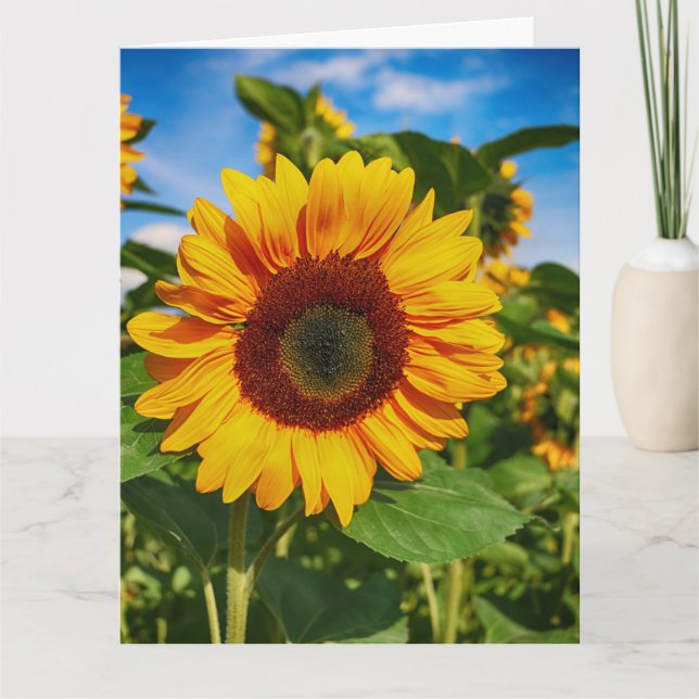 SYMPATHY SUNFLOWER SIMPLE MESSAGE GREETING CARD (Front)