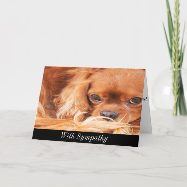 Sympathy Sweet Cavalier King Charles Spaniel Card (Front)