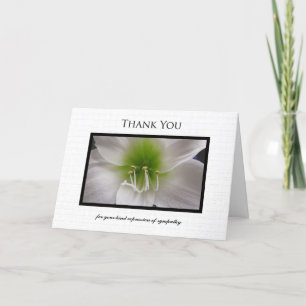 Sympathy Thank You Card - White  Amaryllis