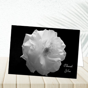 Sympathy Thank You Card -- White Rose