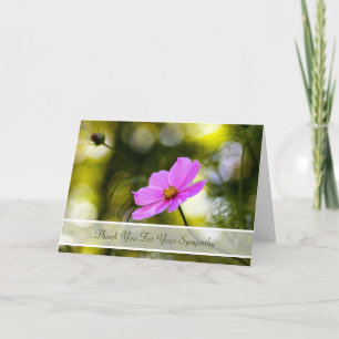 Sympathy Thank You Evening Pink Cosmos Wildflower Card