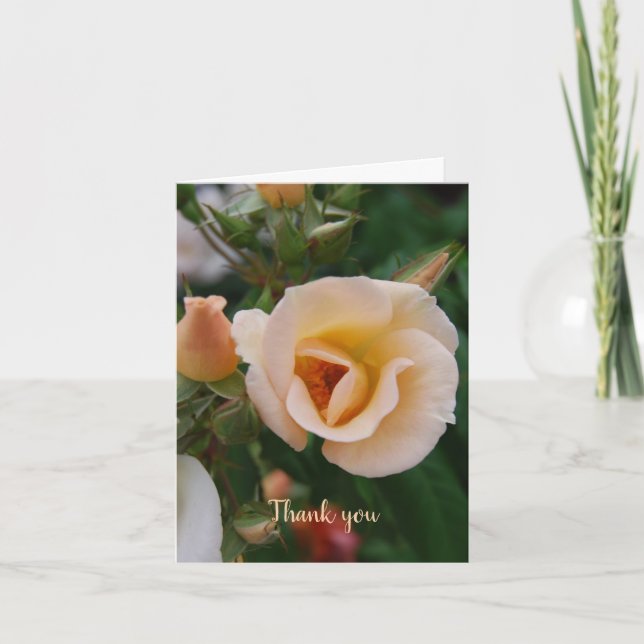 Sympathy Thank You from Family (Front)