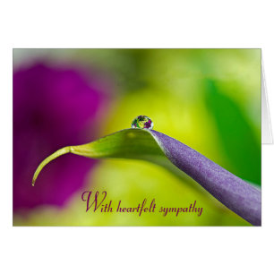Sympathy Water Droplet On Leaf