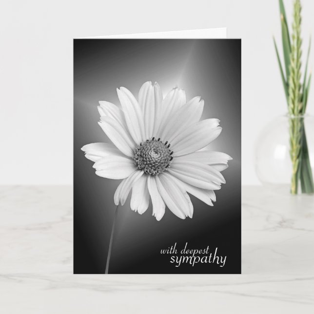 Sympathy White Cosmos on Black Card (Front)