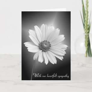 Sympathy White Cosmos on Black Card