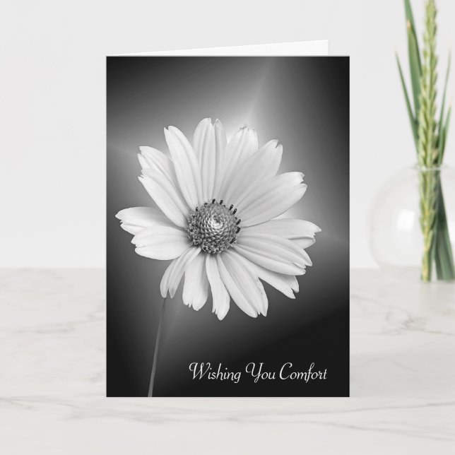Sympathy White Daisy Flower Card (Front)