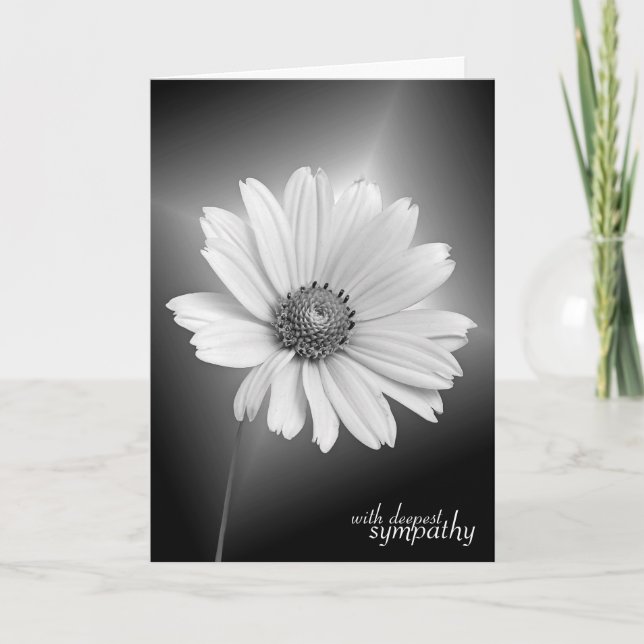 Sympathy White Daisy on Black Card (Front)