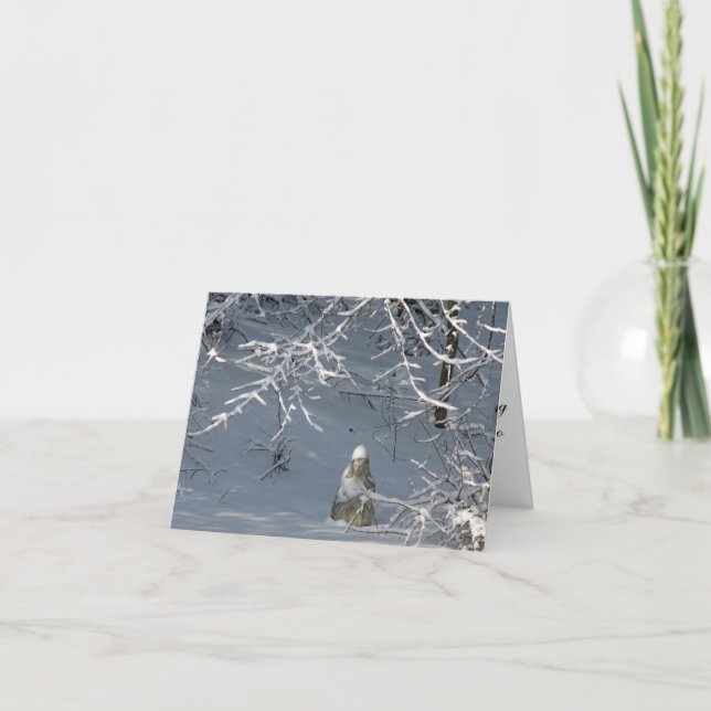 Sympathy - Winter Madonna Card (Front)