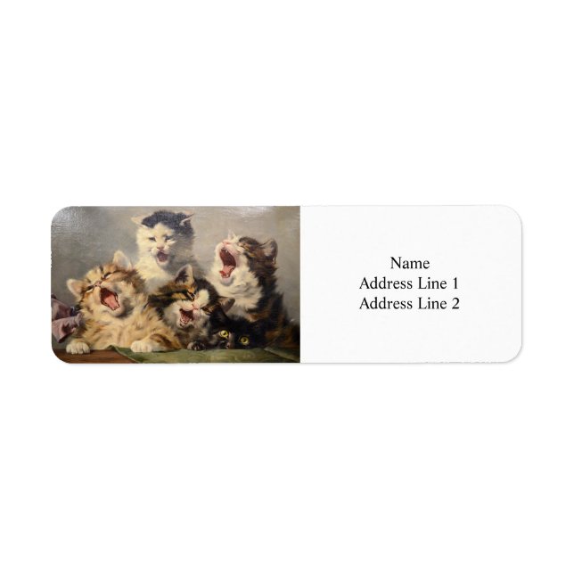 Symphonie de Kitten par Julius Adam II (Devant)