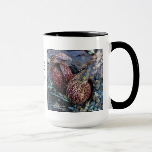 Symplocarpus foetidus, skunk-cabbage mug