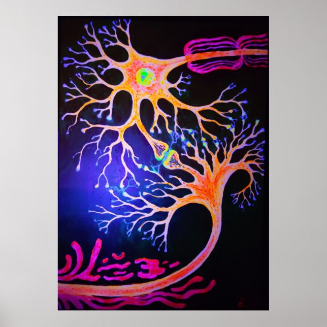 Synapses connecting neurons poster (Front)