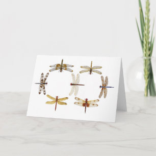 Synchronized Dragonflies IV Card
