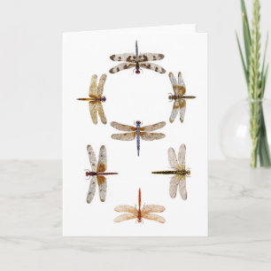 Synchronized Flying Dragonflies Card