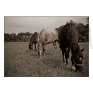Synchronized Munching