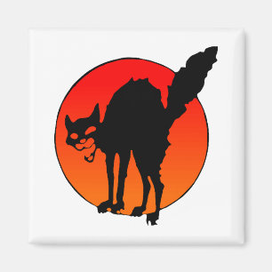 Syndicalist's cat magnet