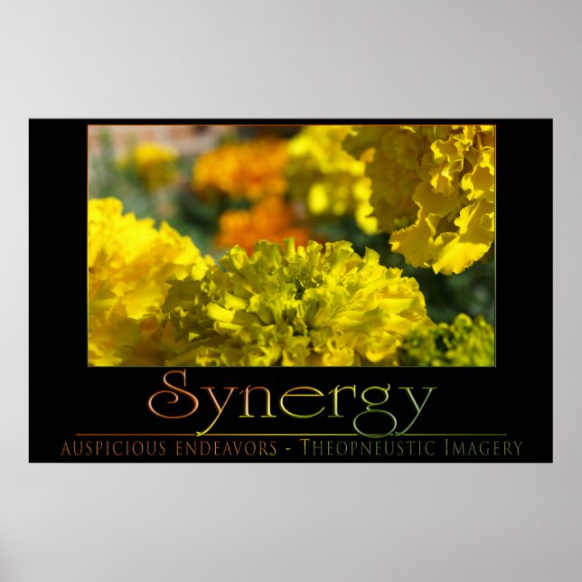 Synergy Poster (Front)