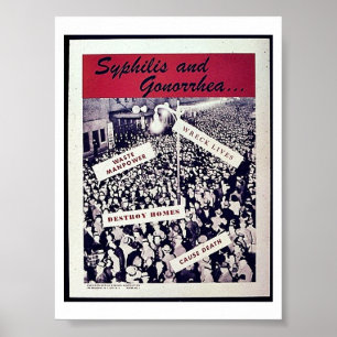 Syphilis And Gonorrhea Poster