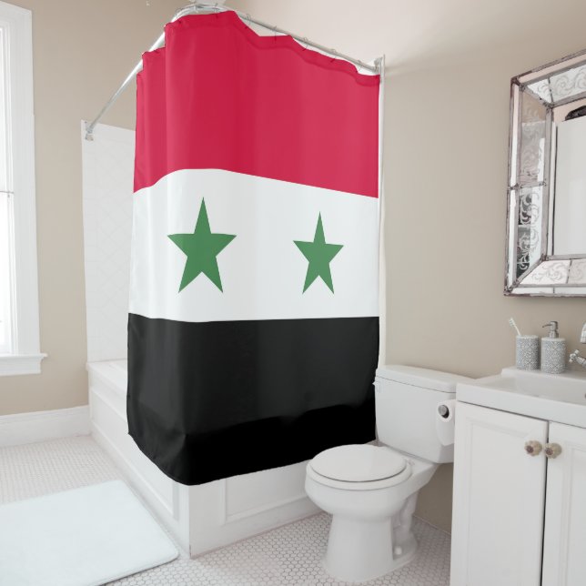 Syria flag (In Situ)