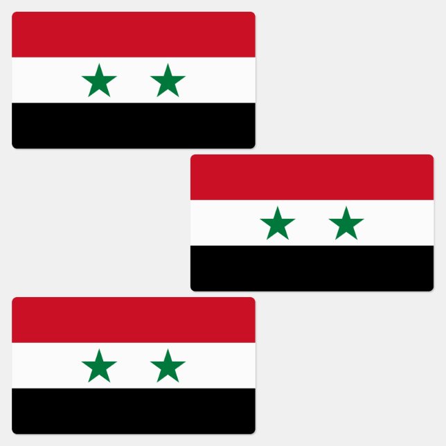 Syria Old Flag (Group)