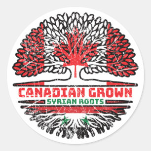 Syria Syrian Canadian Canada Tree Roots Flag Classic Round Sticker