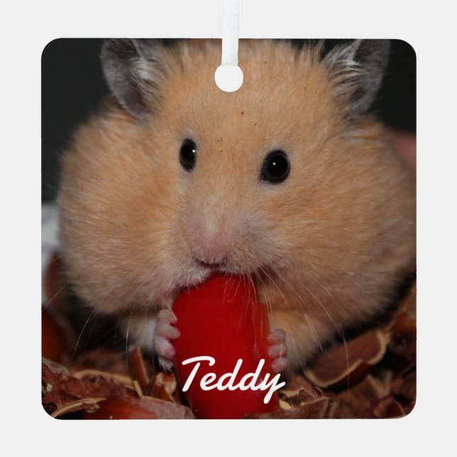 Syrian Pet Hamster - Standard Hamster - Cream Metal Ornament (Back)