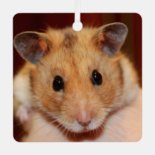Syrian Pet Hamster - Standard Hamster - Teddy Bear Metal Ornament