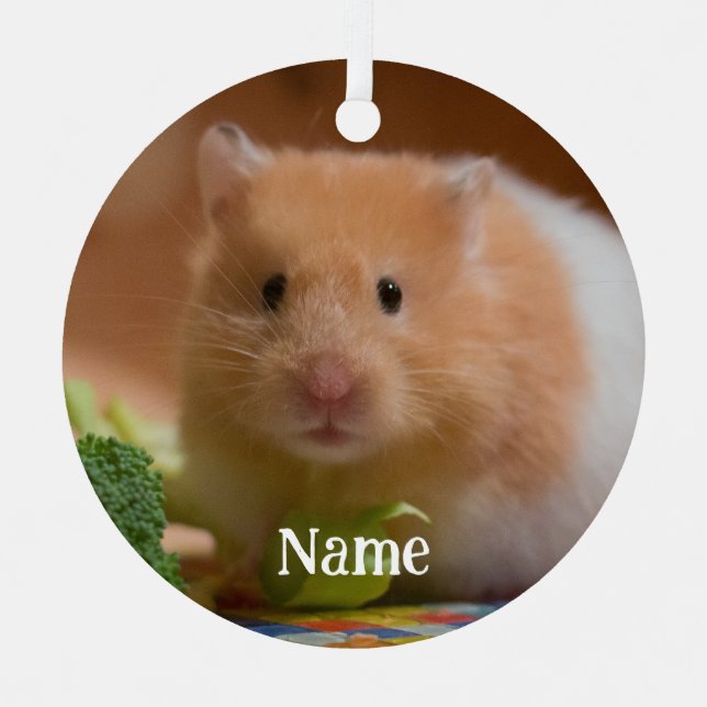 Syrian Pet Hamster - Standard Hamster - Teddy Bear Metal Ornament (Front)