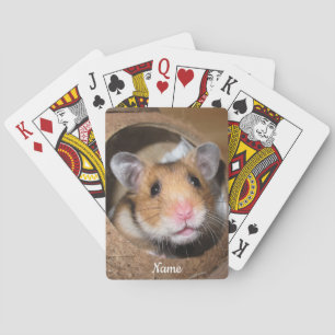 Syrian Pet Hamster - Standard Hamster - Teddy Bear Playing Cards