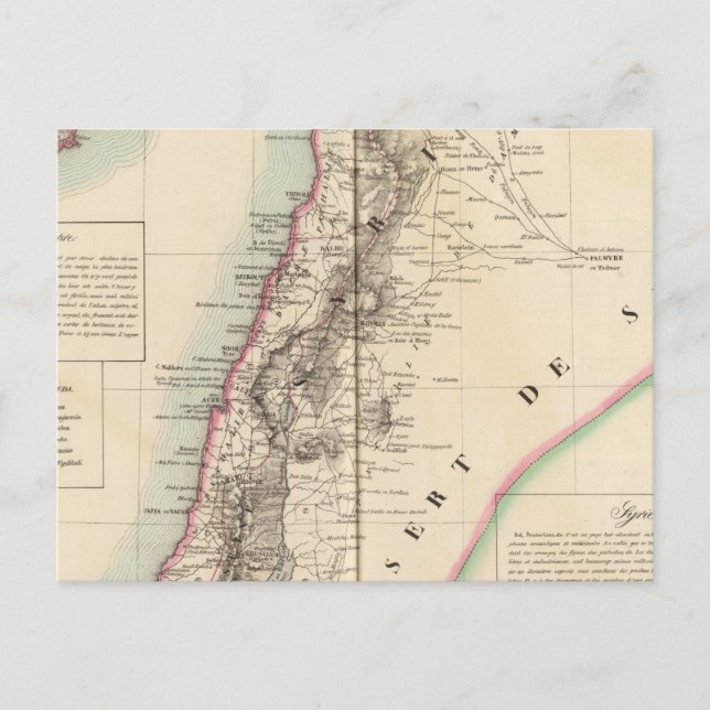 Syriea and Palestine Asia 63 Postcard (Front)