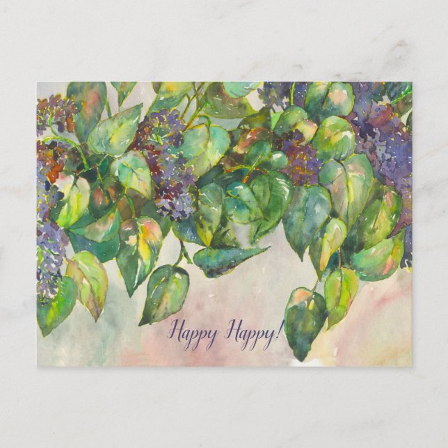 syringa postcard (Front)