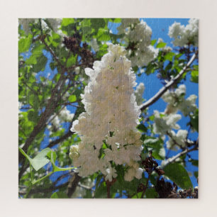 Syringa , White Lilac Flower Tree Jigsaw Puzzle